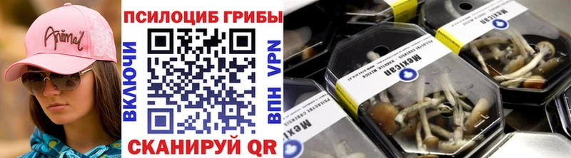 где можно купить   Нижний Тагил  Галлюциногенные грибы GOLDEN TEACHER 